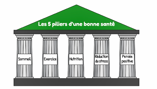 Les 5 piliers d'une<br>bonne santé avec la SEP